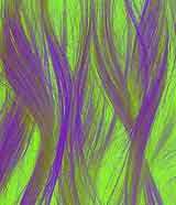 Orchestral background music